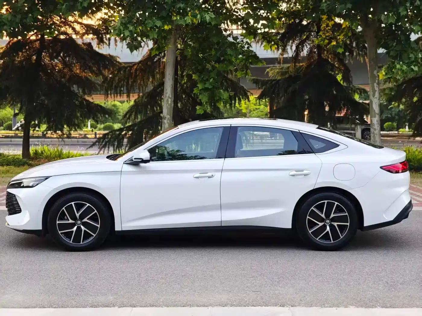 Qin L 2024 DM-i 120KM Super Edition — миниатюра 6