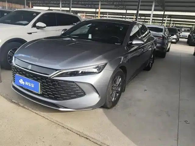 Qin L 2024 DM-i 80KM Leading Edition