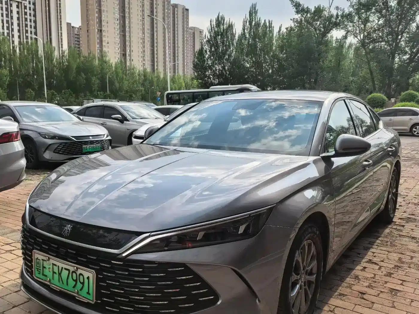 Qin L 2024 DM-i 80KM Leading Edition — миниатюра 1