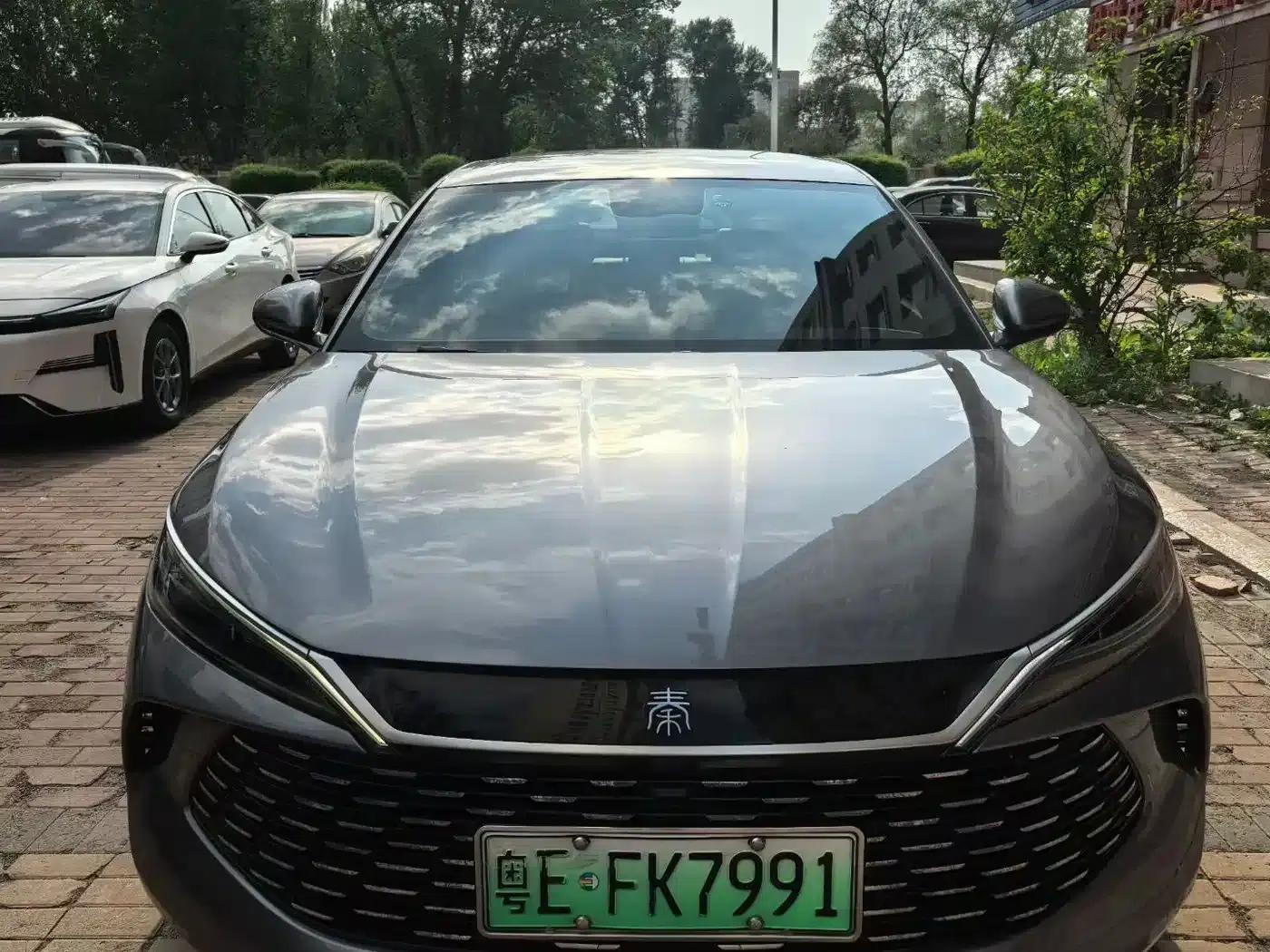 Qin L 2024 DM-i 80KM Leading Edition — миниатюра 2
