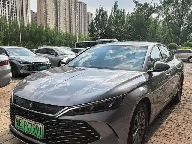 Qin L 2024 DM-i 80KM Leading Edition