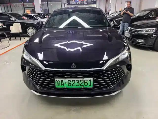Qin L 2024 DM-i 120KM Super Edition