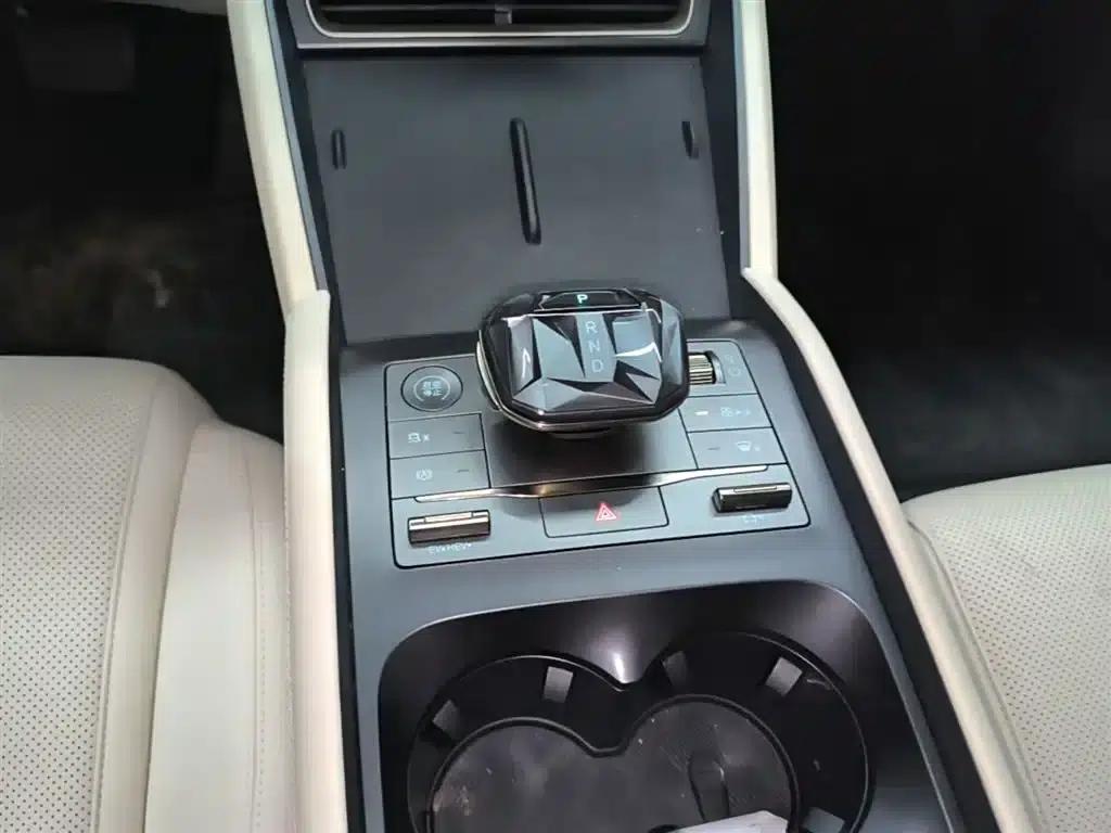 Qin L 2024 DM-i 80KM Leading Edition — миниатюра 14