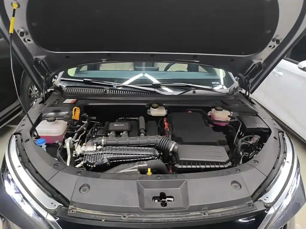 Qin L 2024 DM-i 80KM Leading Edition — миниатюра 20