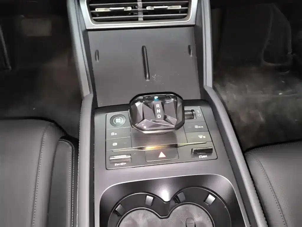 Qin L 2024 DM-i 80KM Leading Edition — миниатюра 14