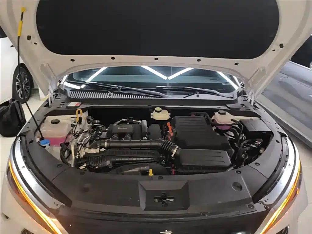 Qin L 2024 DM-i 80KM Leading Edition — миниатюра 20