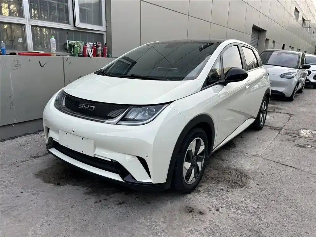 Dolphin 2024 Glory Edition 420km Fashion Edition — миниатюра 1