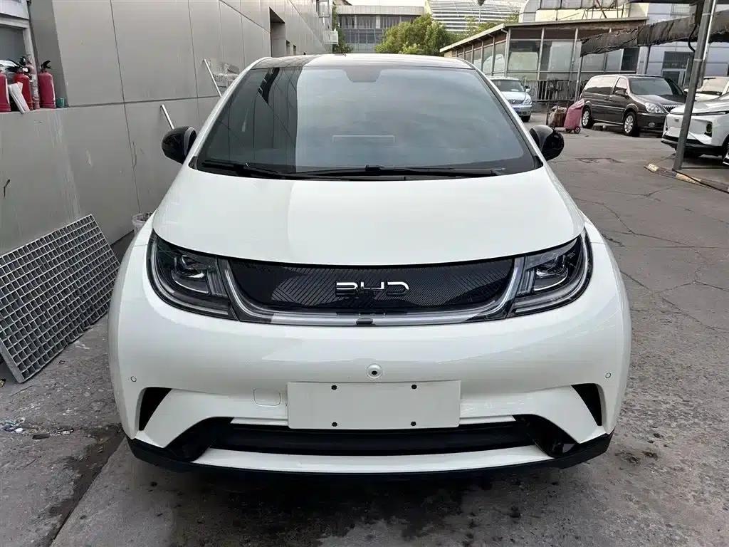 Dolphin 2024 Glory Edition 420km Fashion Edition — миниатюра 2