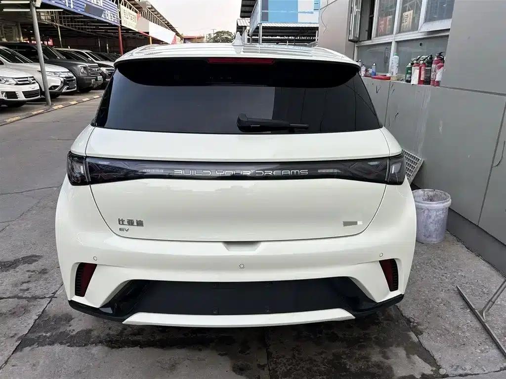 Dolphin 2024 Glory Edition 420km Fashion Edition — миниатюра 3