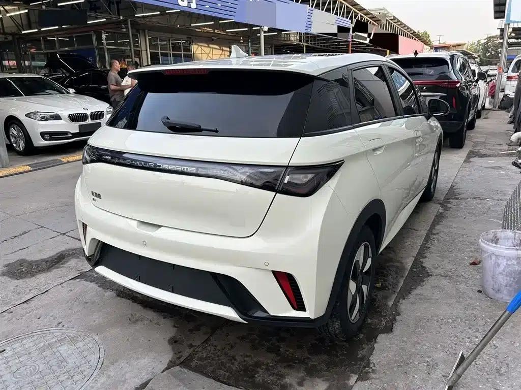 Dolphin 2024 Glory Edition 420km Fashion Edition — миниатюра 4