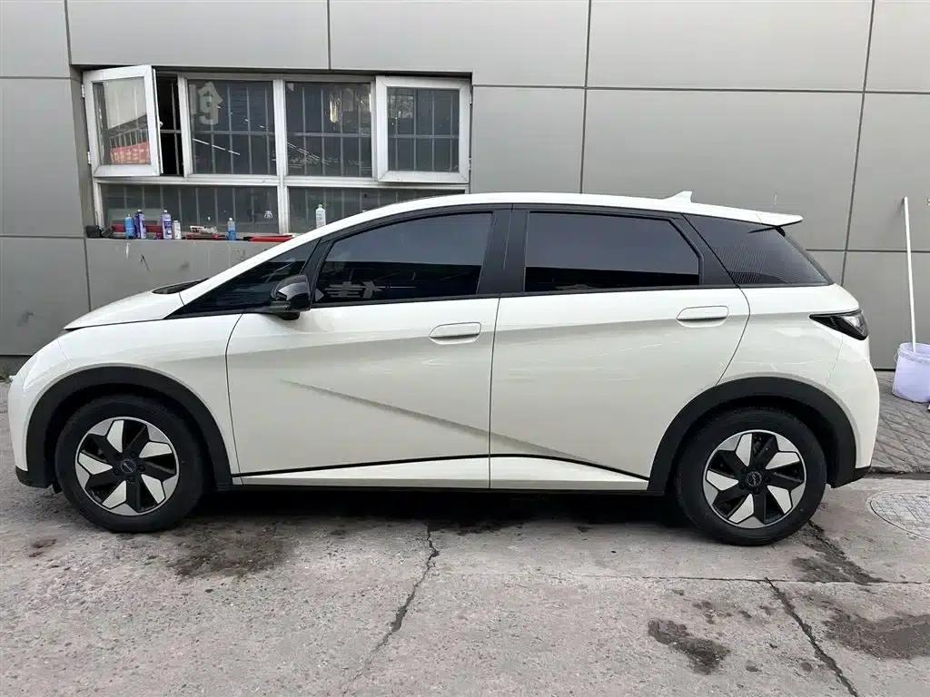 Dolphin 2024 Glory Edition 420km Fashion Edition — миниатюра 5