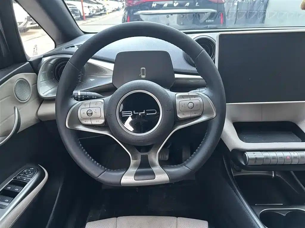 Dolphin 2024 Glory Edition 420km Fashion Edition — миниатюра 8