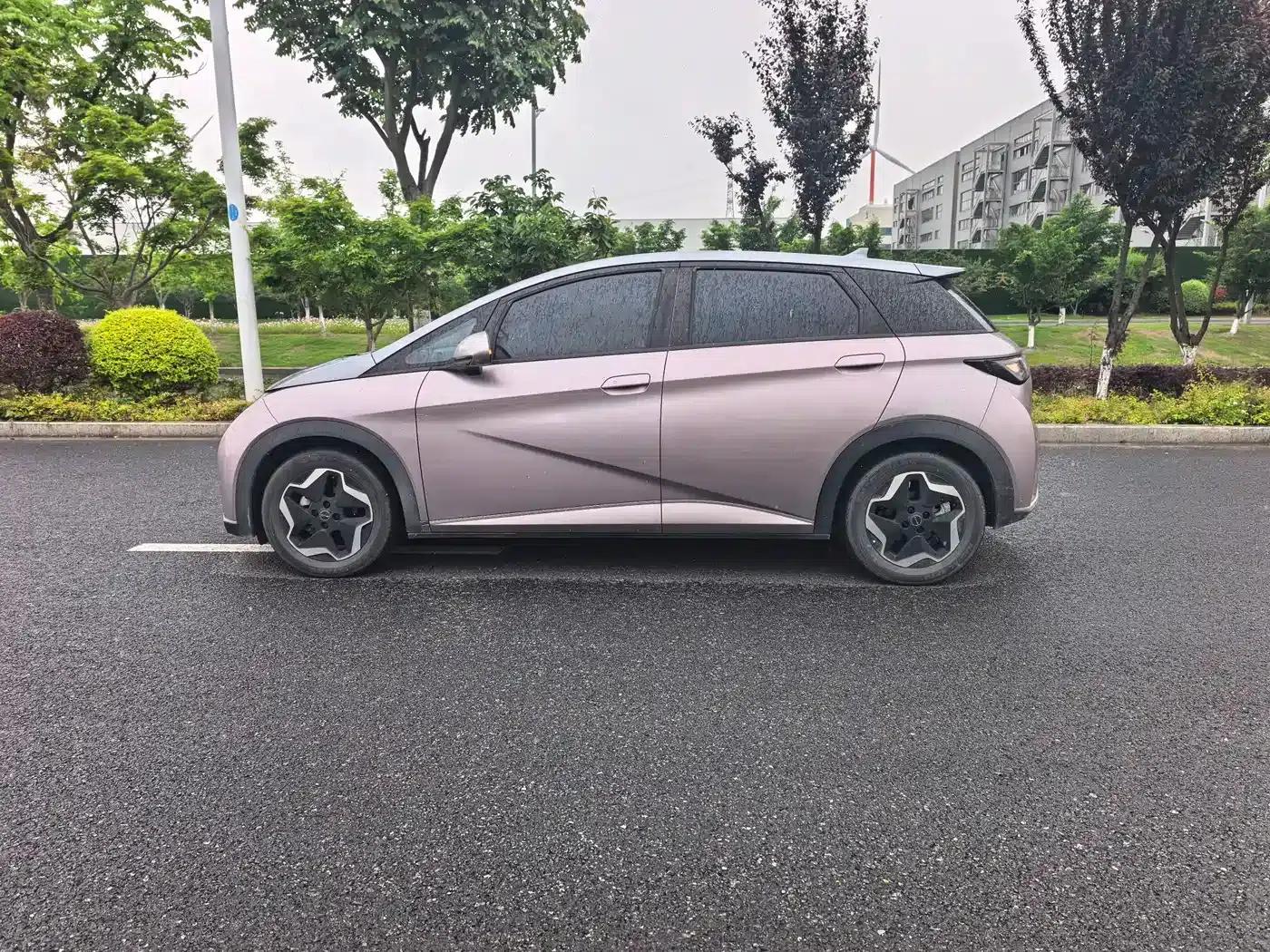 Dolphin 2021 405km Fashion Edition — миниатюра 11