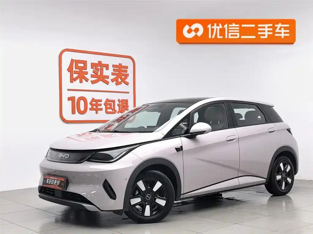 Dolphin 2025 Smart Driving Edition 410km Fashion Edition — миниатюра 1