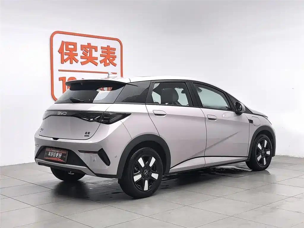 Dolphin 2025 Smart Driving Edition 410km Fashion Edition — миниатюра 2