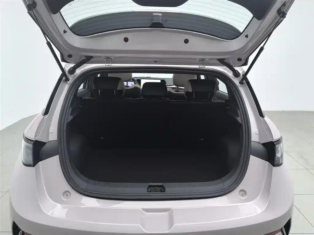 Dolphin 2025 Smart Driving Edition 410km Fashion Edition — миниатюра 16