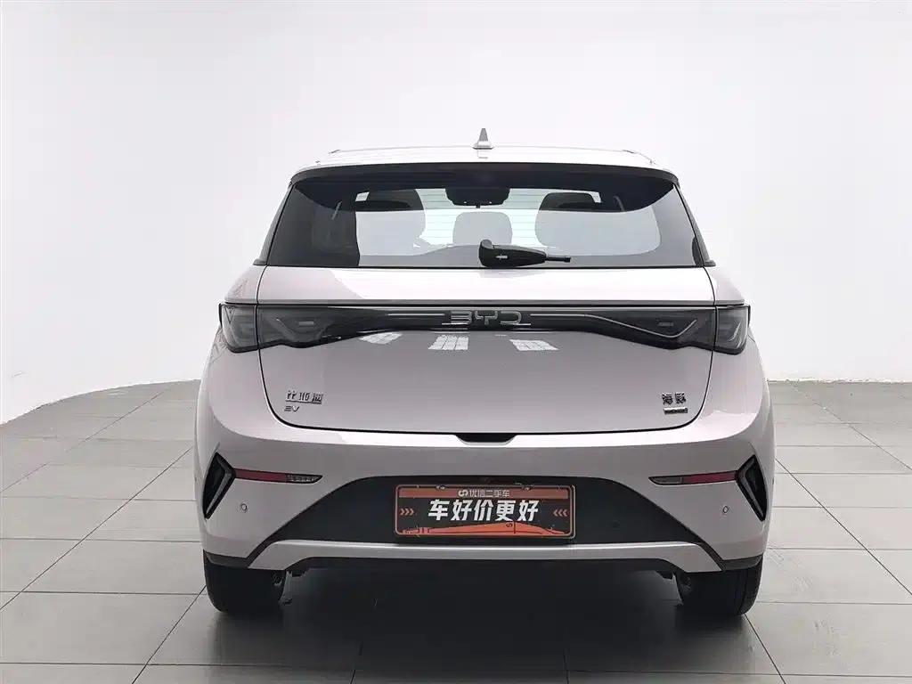 Dolphin 2025 Smart Driving Edition 410km Fashion Edition — миниатюра 4