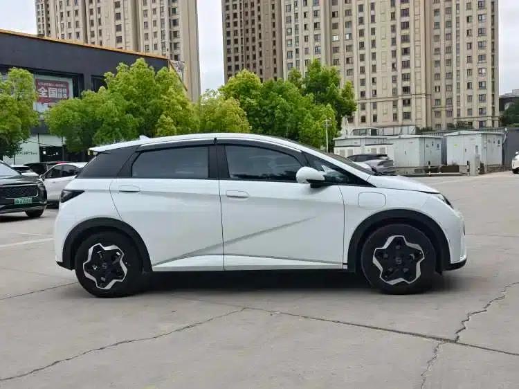 Dolphin 2021 405km Fashion Edition — миниатюра 7