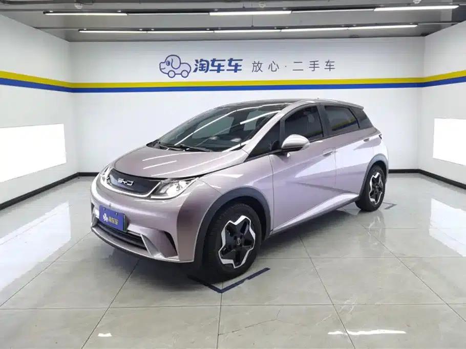 Dolphin 2021 405km Fashion Edition — миниатюра 1