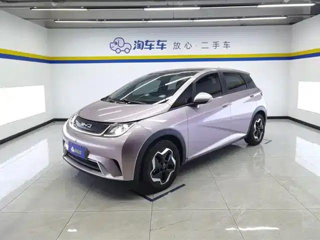Dolphin 2021 405km Fashion Edition