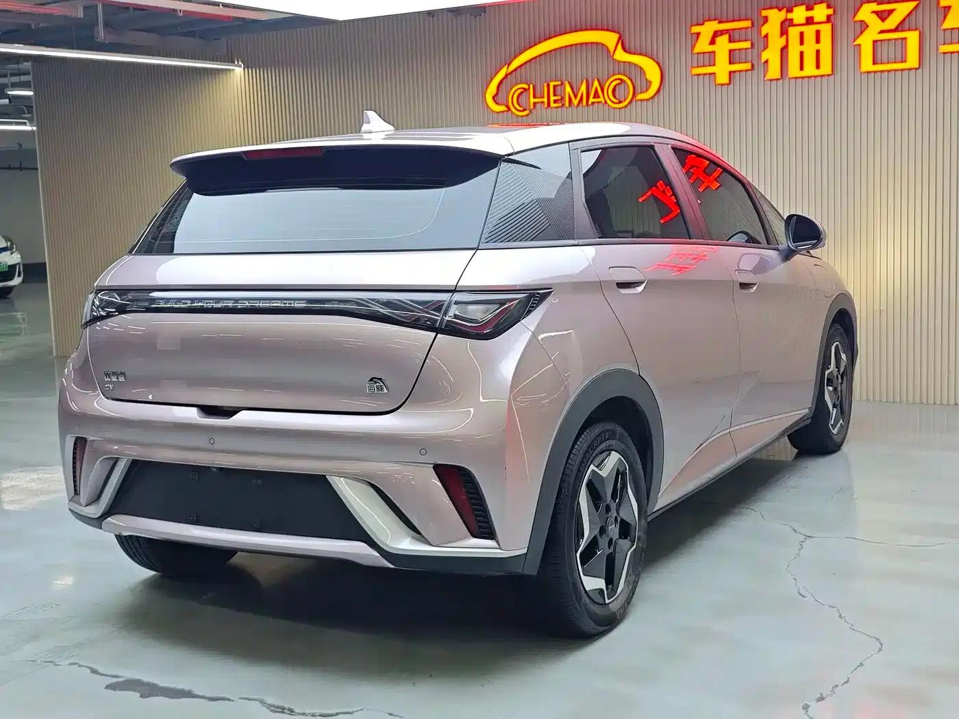 Dolphin 2021 405km Fashion Edition — миниатюра 17