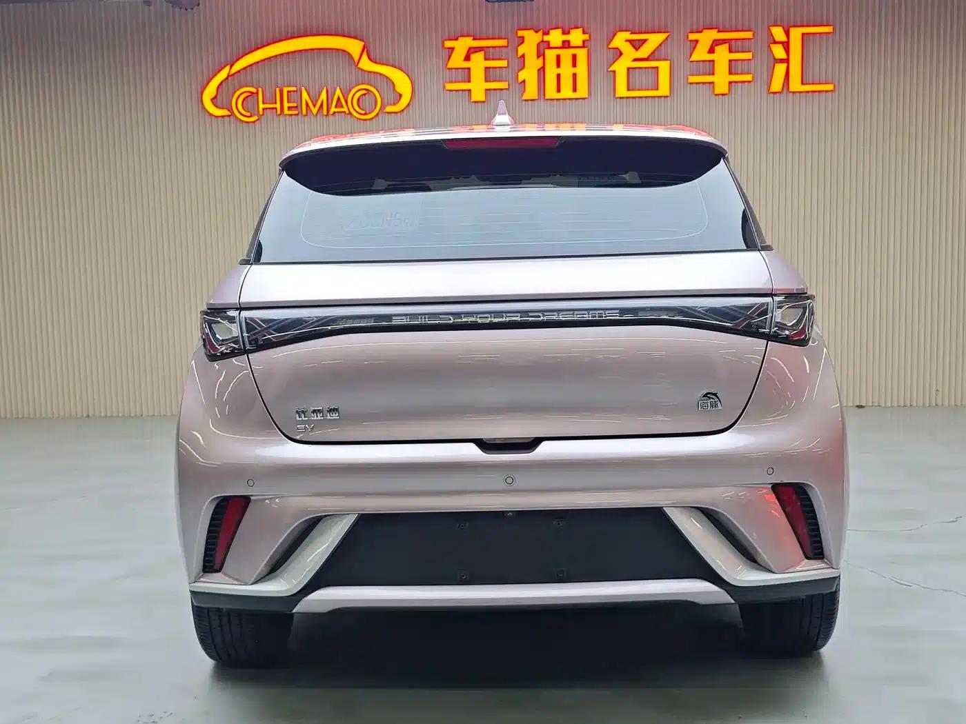 Dolphin 2021 405km Fashion Edition — миниатюра 18