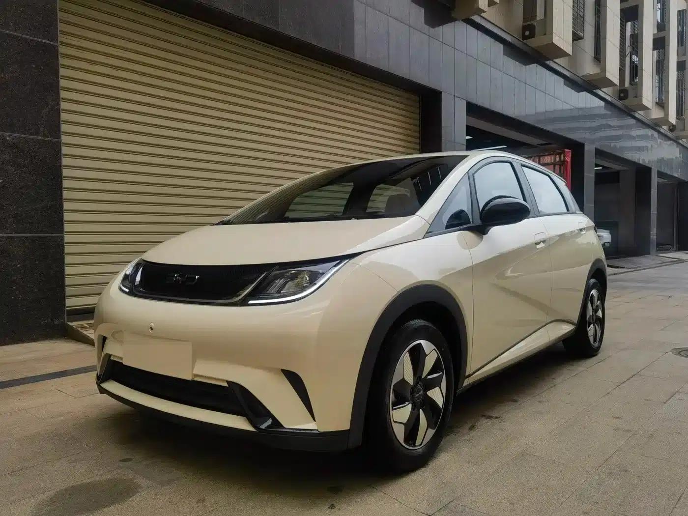 Dolphin 2025 420km Freedom Edition — миниатюра 1