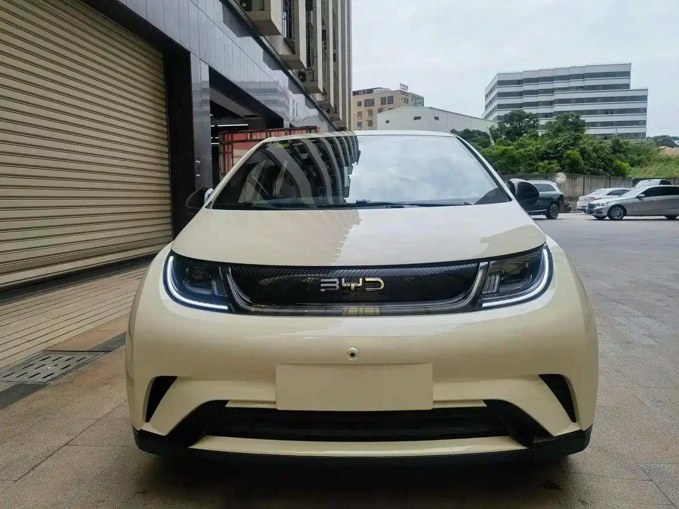 Dolphin 2025 420km Freedom Edition — миниатюра 2