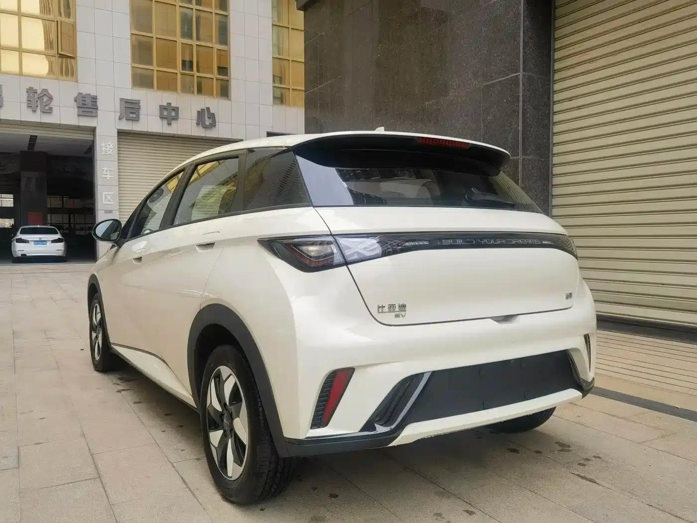 Dolphin 2025 420km Freedom Edition — миниатюра 5