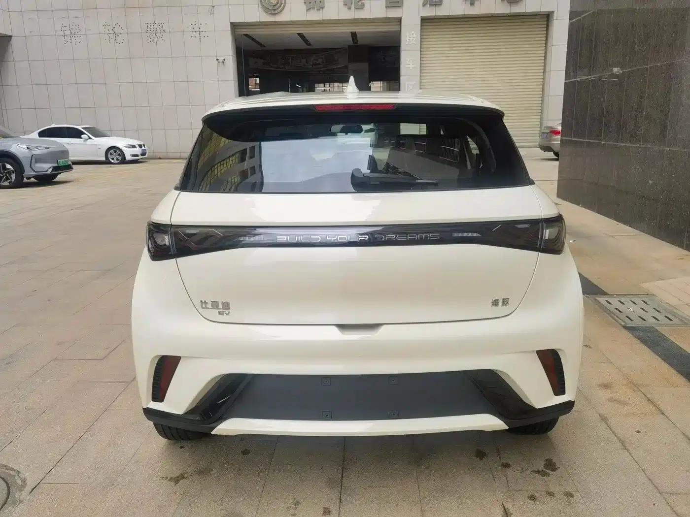 Dolphin 2025 420km Freedom Edition — миниатюра 6