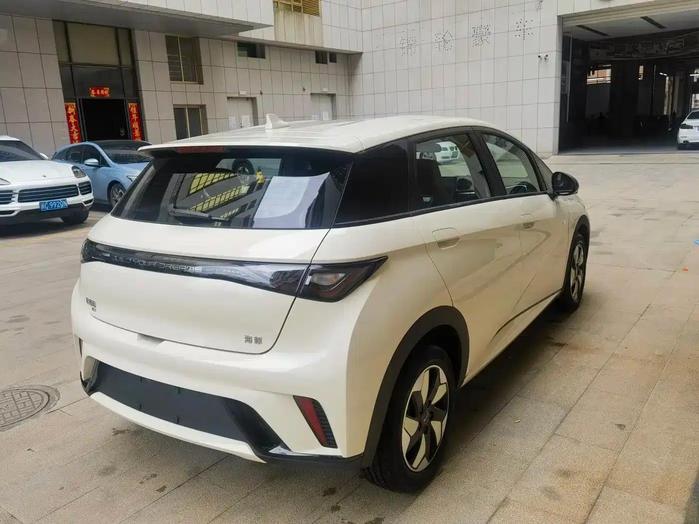 Dolphin 2025 420km Freedom Edition — миниатюра 7