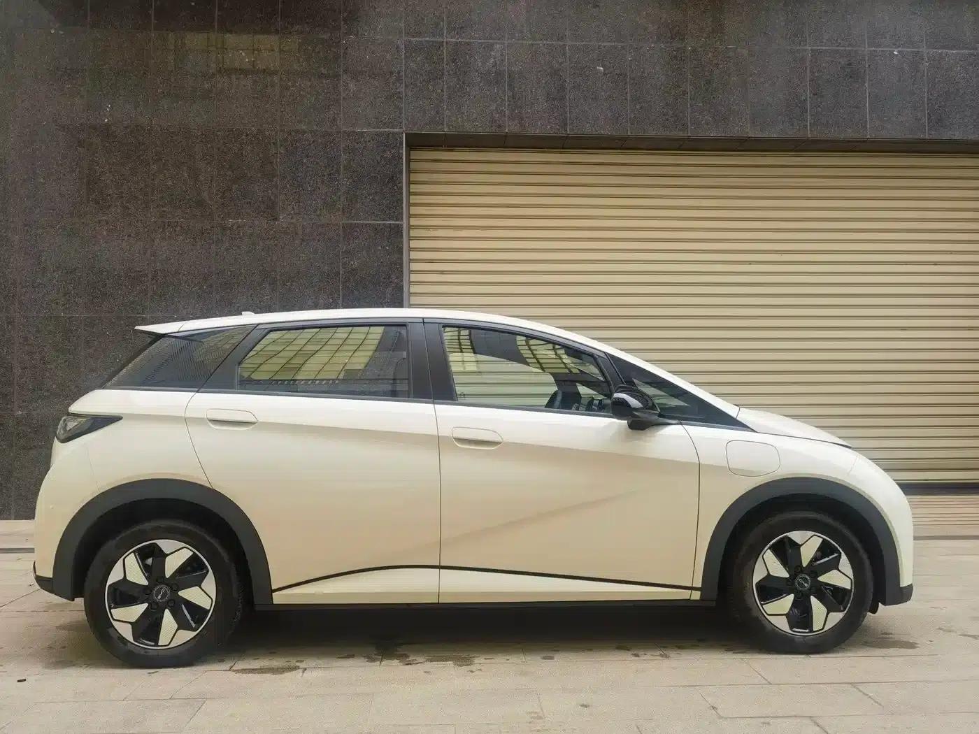 Dolphin 2025 420km Freedom Edition — миниатюра 8