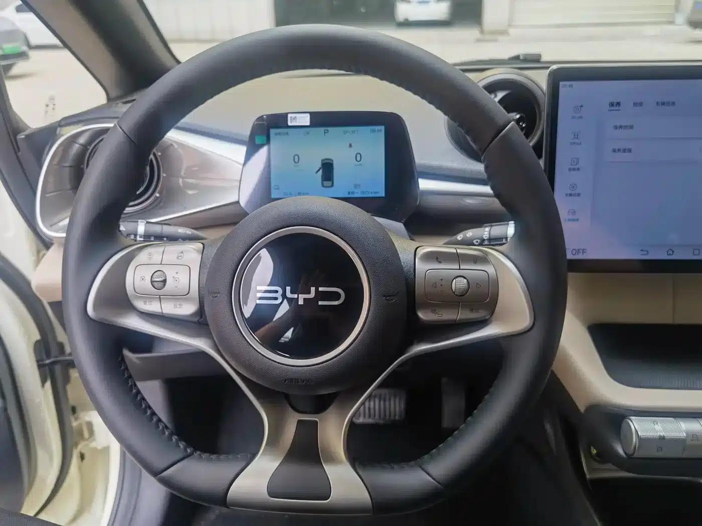 Dolphin 2025 420km Freedom Edition — миниатюра 10