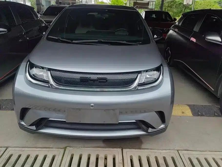Dolphin 2023 420km Freedom Edition — миниатюра 2