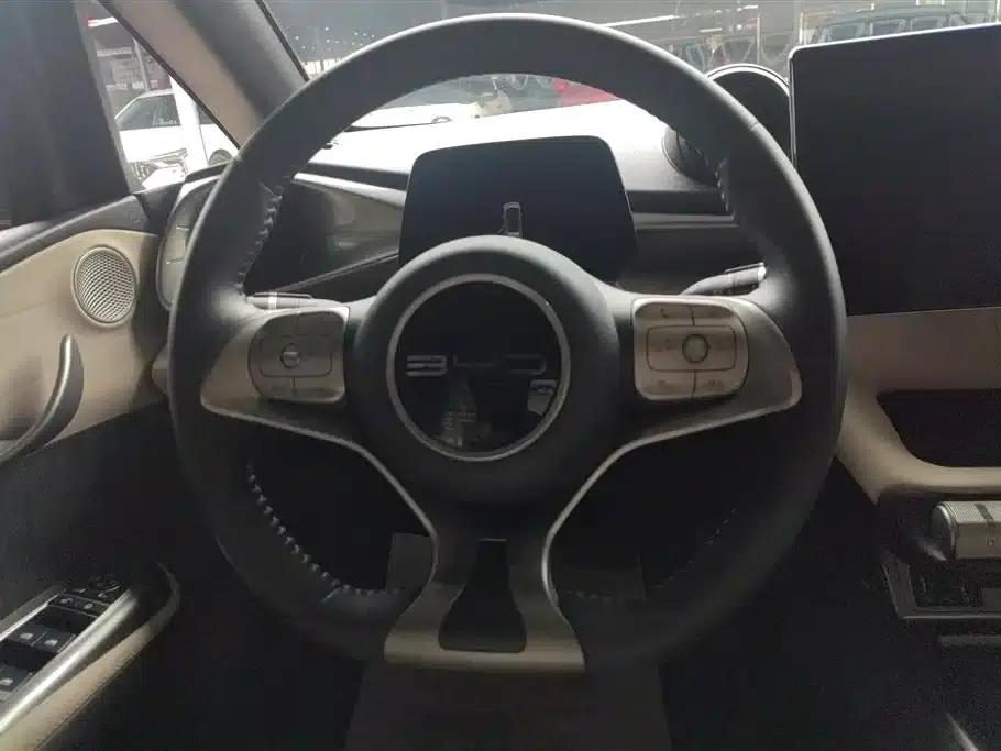 Dolphin 2023 420km Freedom Edition — миниатюра 15