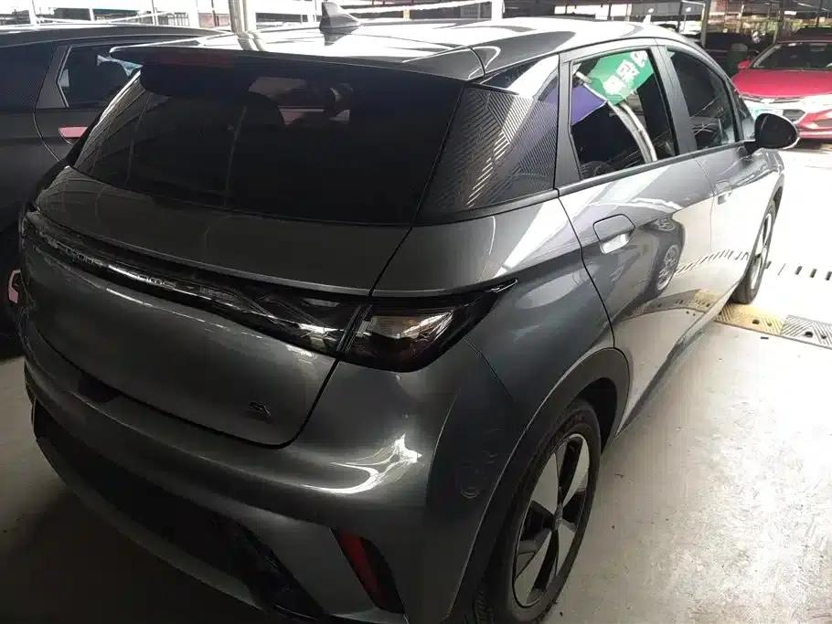 Dolphin 2023 420km Freedom Edition — миниатюра 3