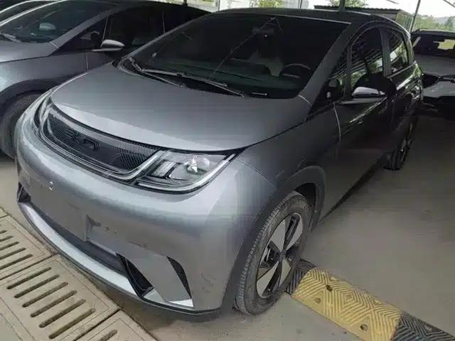 Dolphin 2023 420km Freedom Edition