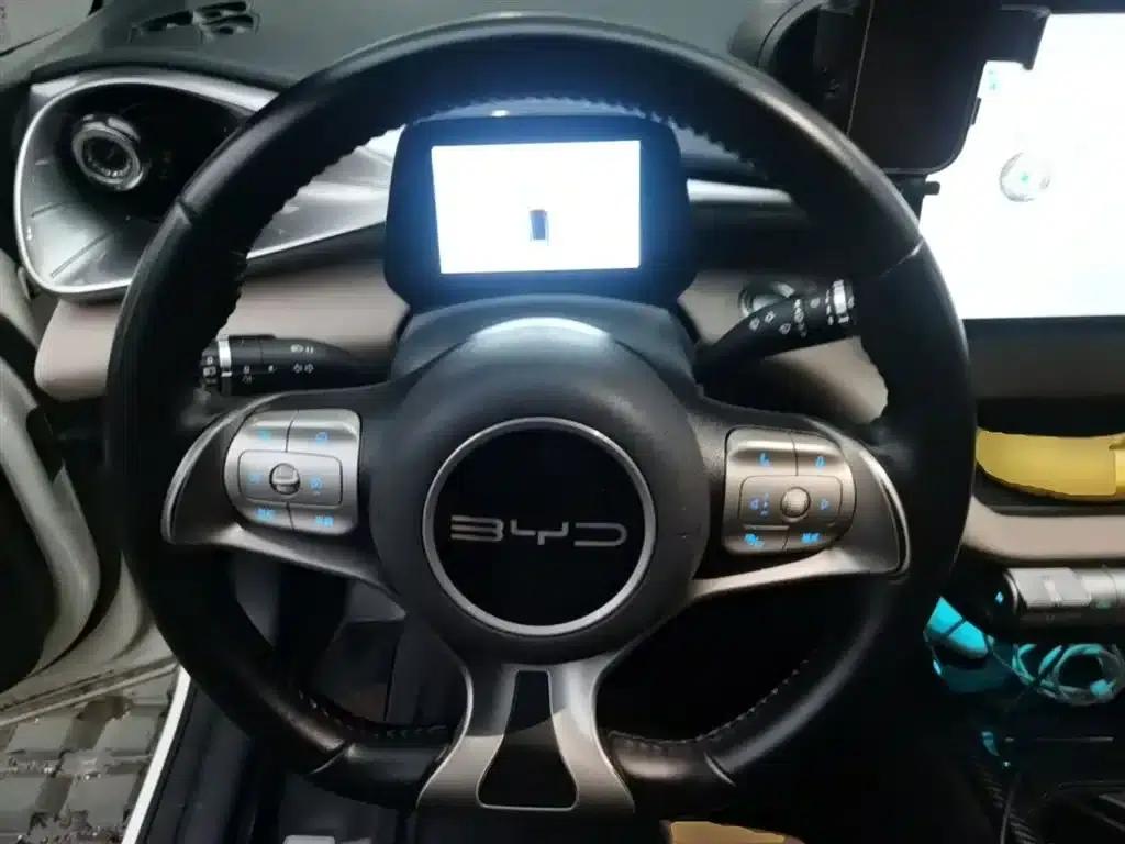Dolphin 2023 420km Freedom Edition — миниатюра 11