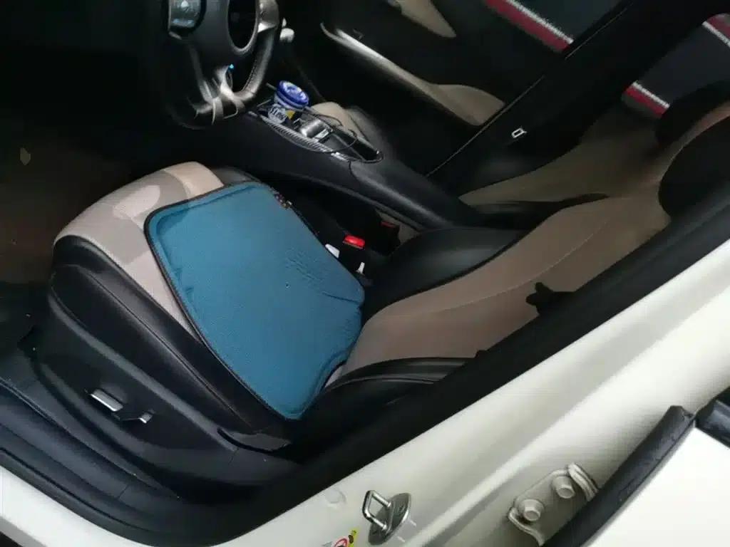 Dolphin 2023 420km Freedom Edition — миниатюра 15