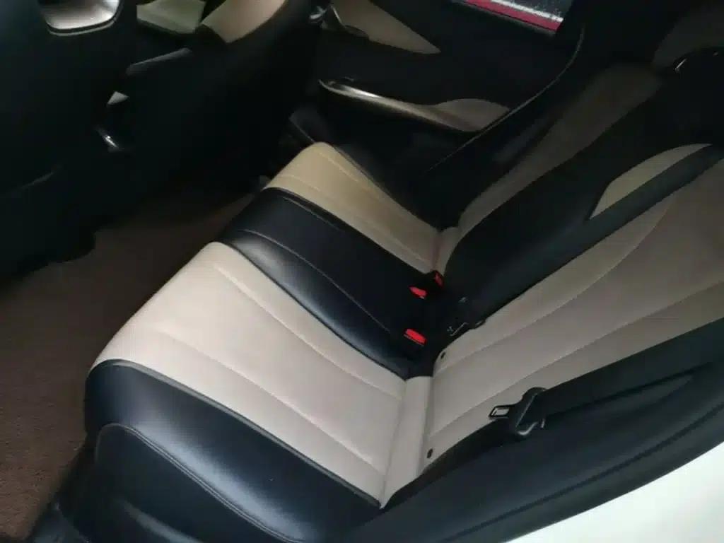 Dolphin 2023 420km Freedom Edition — миниатюра 17