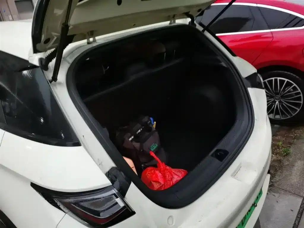 Dolphin 2023 420km Freedom Edition — миниатюра 19