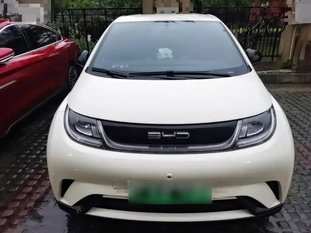 Dolphin 2023 420km Freedom Edition — миниатюра 3