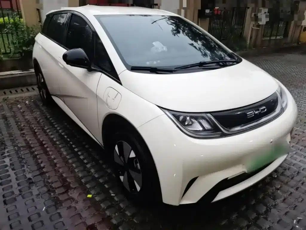 Dolphin 2023 420km Freedom Edition — миниатюра 4