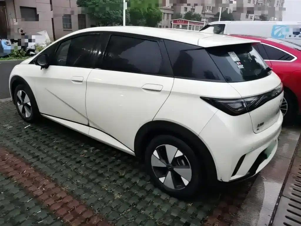 Dolphin 2023 420km Freedom Edition — миниатюра 5