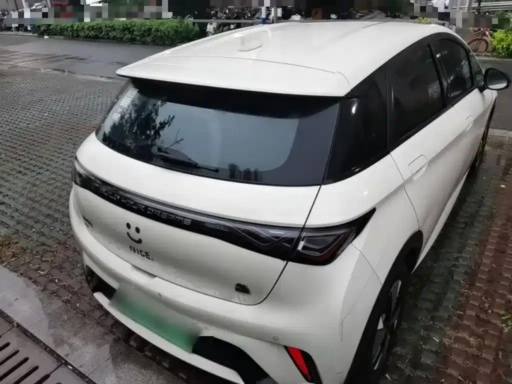 Dolphin 2023 420km Freedom Edition — миниатюра 6
