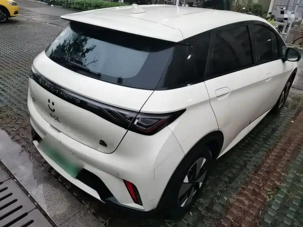 Dolphin 2023 420km Freedom Edition — миниатюра 7