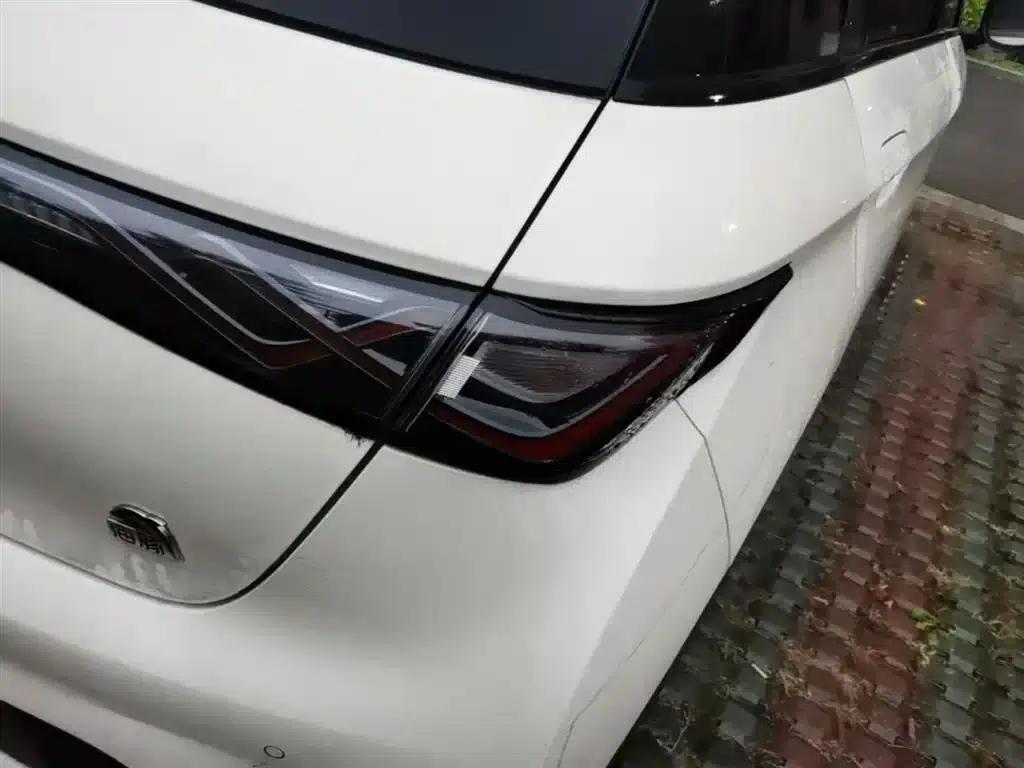 Dolphin 2023 420km Freedom Edition — миниатюра 8