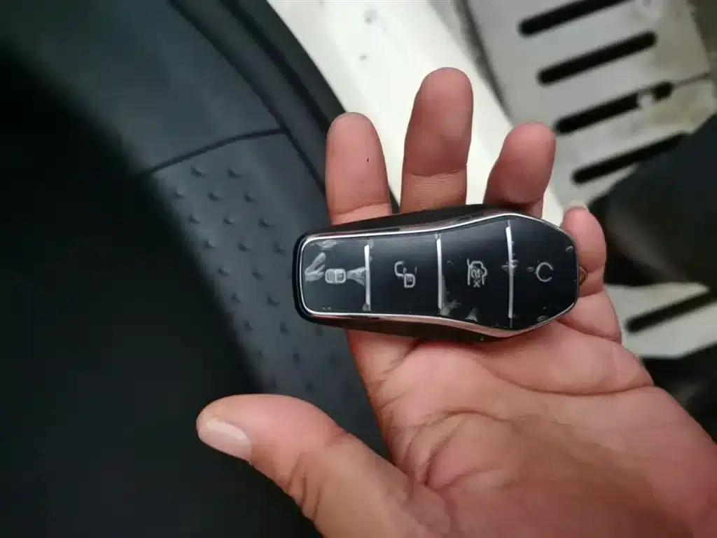 Dolphin 2023 420km Freedom Edition — миниатюра 9