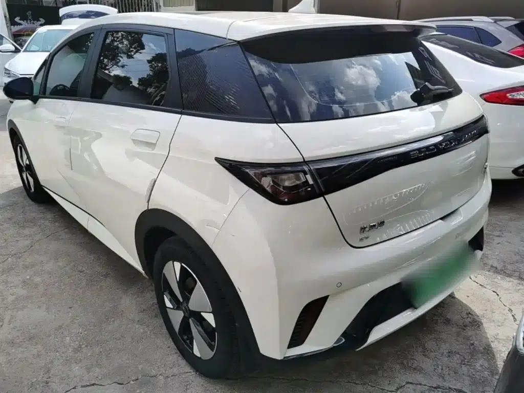 Dolphin 2023 420km Fashion Edition — миниатюра 5