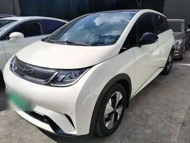 Dolphin 2023 420km Fashion Edition